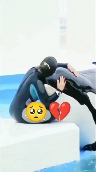 جيسيكا والدلفين