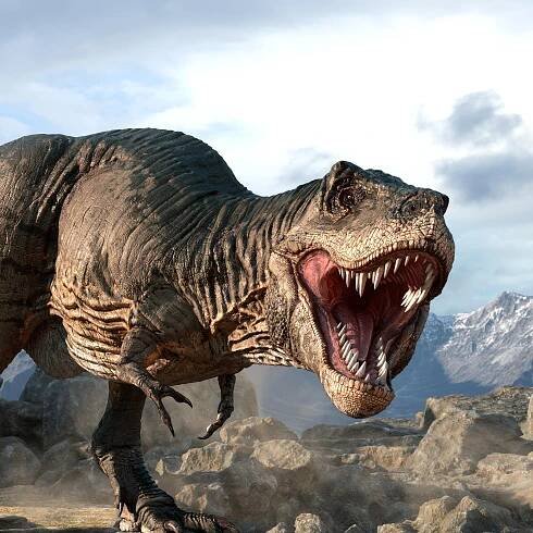 Illustration of a tyrannosaurus.