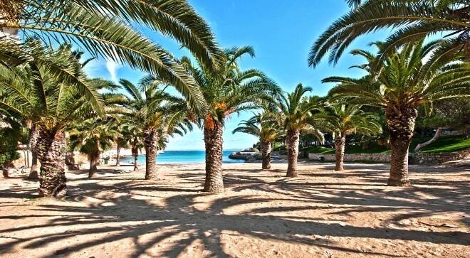 MALLORCA IMPRESSIONS | New Home Mallorca