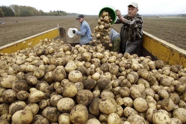 Foto: Krize svědčí barterovému obchodu
