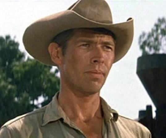 James Coburn Biography - Facts, Childhood, Family Life & Achievements