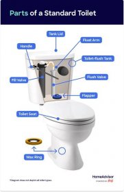 Parts of a standard toilet diagram, including the fill valve, toilet seat, and wax ring
