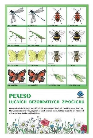 Pexeso lučních bezobratlých živočichů - Ekonákup