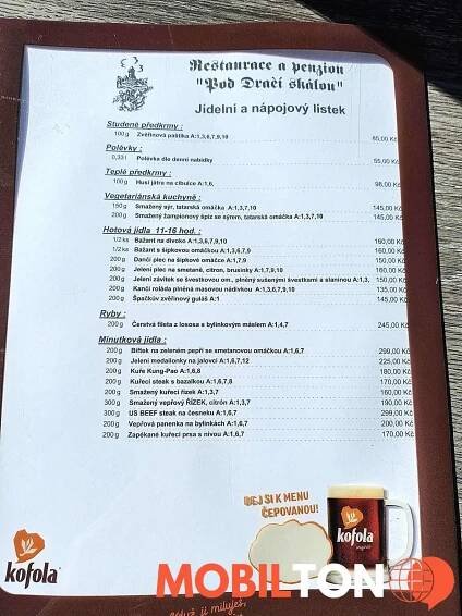 Restaurace a penzion Pod Dračí skálou - Karlštejn - restaurace v karlštejn