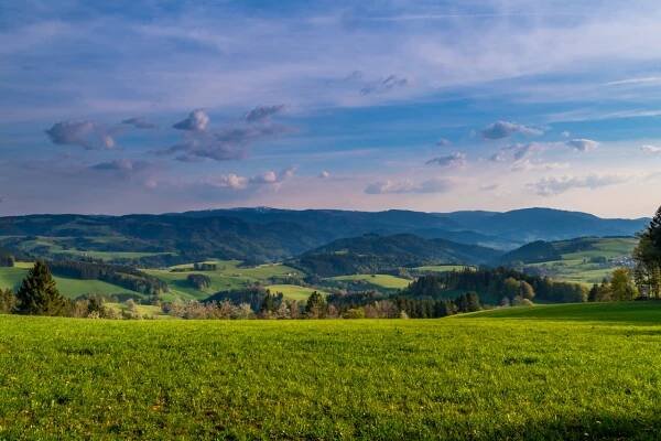 Den Schwarzwald erkunden...