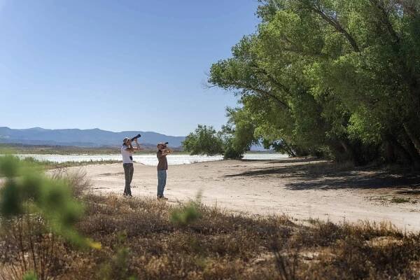 Juab County: Where Every Bird Tells a Story - Birding in Juab, UT