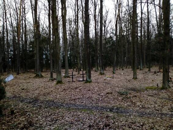 Temný Branišovský les: Duchy nenašli, hřbitov zvířátek ano