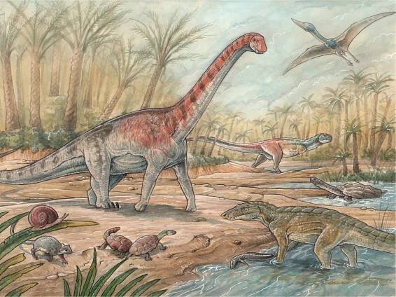 What dinosaur has 500 teeth? Inside the conveyer belt jaw of Nigersaurus | National Geographic