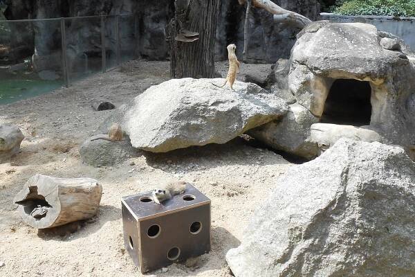 Liberec 1: Zoologická zahrada