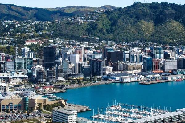 Wellington Skyline, best city to visit in new zealand
