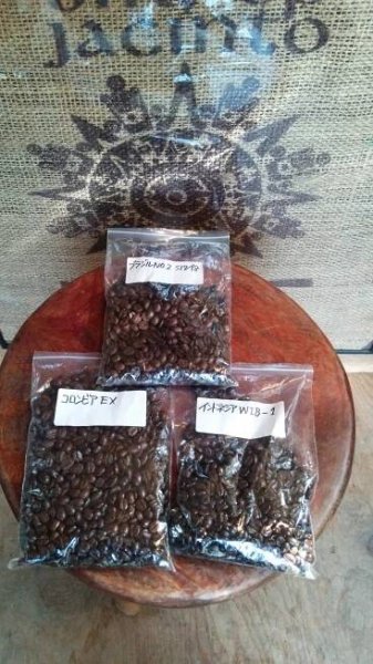 豆 | Steam Piston Brewing