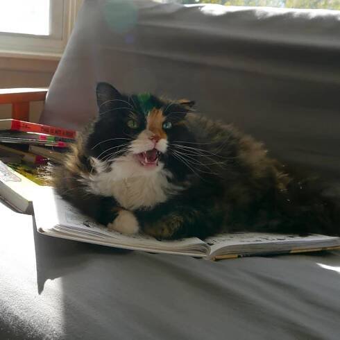books — Ezri's Blog