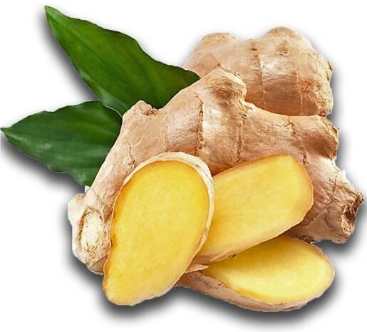 Zingiber officinale Jahe