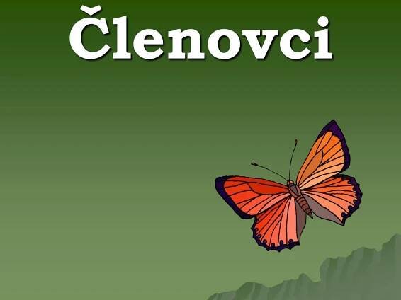 lenovci