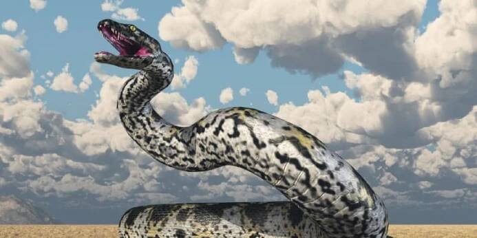 Obří Titanoboa vážil 1,1 tuny