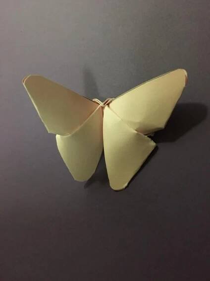 Origami Butterfly: Schéma a tipy, jak vyrobit motýla pro děti