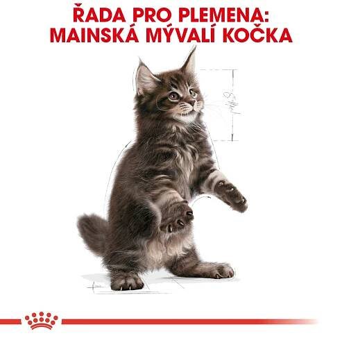 Royal Canin Granule pro kočky Maine Coon Kitten 2 kg