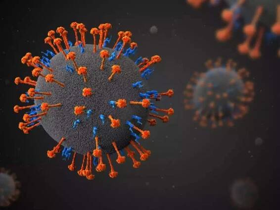 Nipah Virus
