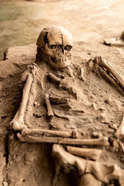 bezplatná Základová fotografie zdarma na téma antropologie, archeolog, archeologické naleziště Základová fotografie