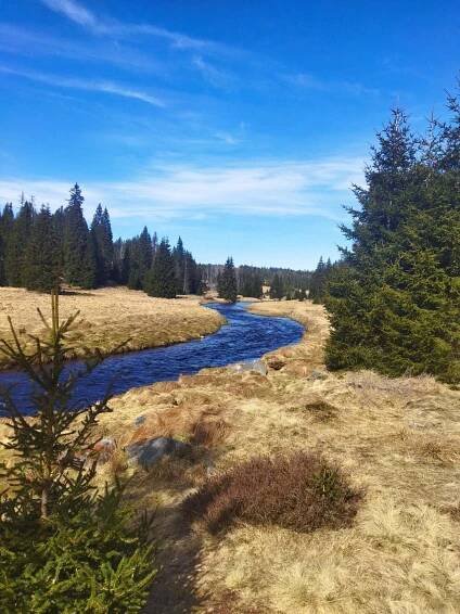 Penzion u Hudečků, ubytování Stachy - Kůsov - Šumava, 19020