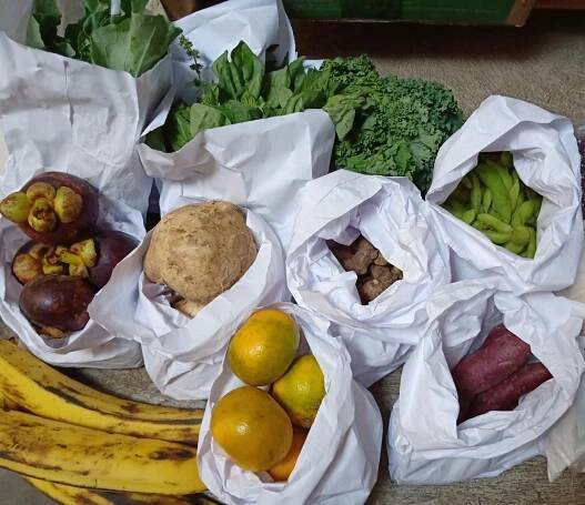 Začnite žiť v štýle zerowaste
