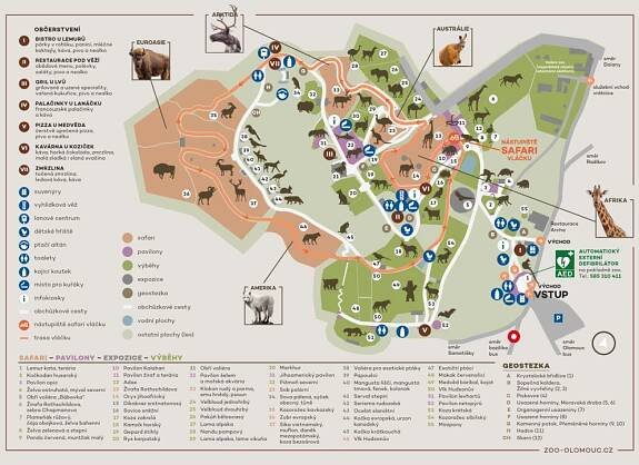 Objevte moravské zoologické zahrady a zooparky: Ideální výletní cíle pro celou rodinu – BRNO Today – Zajímavosti ze štatlu