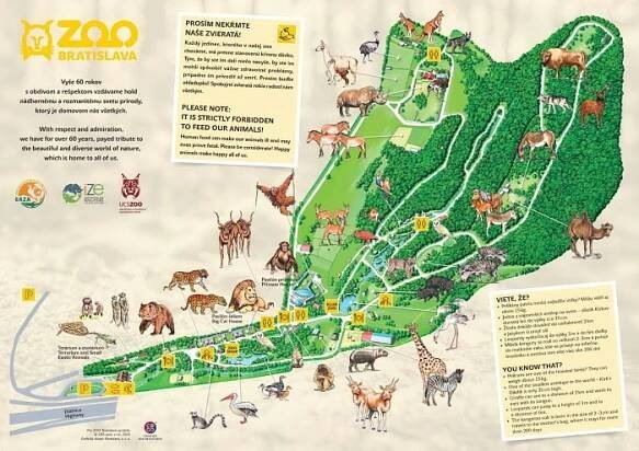 Nova mapa2