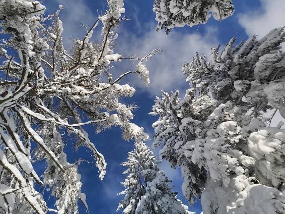 Na Březníku bylo ráno minus 22,7 stupně. Noc byla chladná v celém Česku, nejvíce na jihu