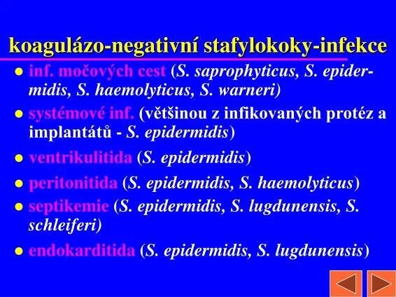 PPT - STAFYLOKOKY PowerPoint Presentation, free download - ID:6094439