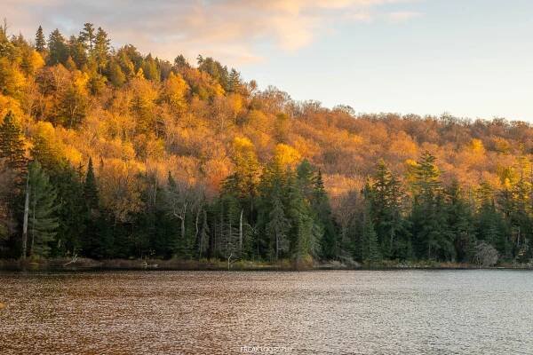 Discover Algonquin Park Backcountry Camping at Little Hardy Lake