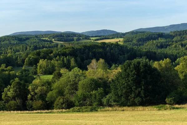 Křída (Ralsko)