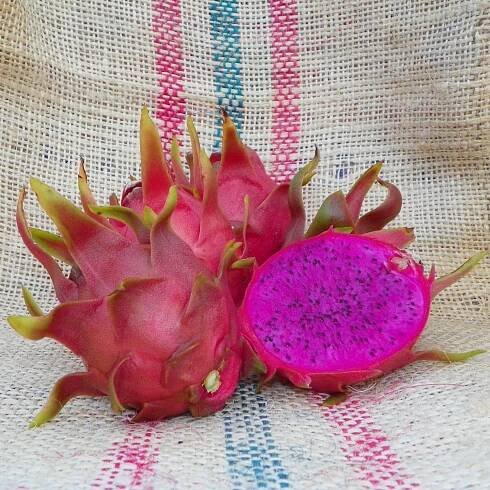 Dragon Fruit variety Dark Star fruit sliced