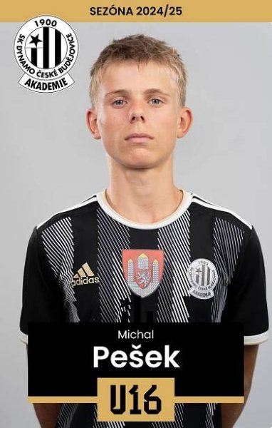 Pešek Michal