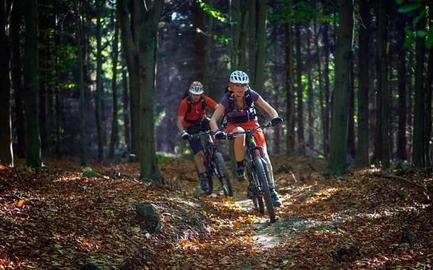 Super úspěch. Dostal se na mapu nejvýznamnějších sportovních destinací Evropy. Singltrek pod Smrkem je Evropskou komunitou sportu 2019 | Krajské listy.cz