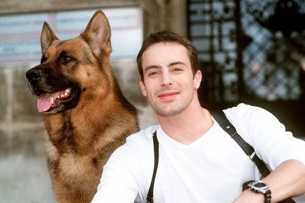 Psí celebrity: Bernardýn Bohouš sežral všechno, Komisař Rex si potrpěl na housky se salámem, Lassie byla skutečnou hrdinkou - Expres FM