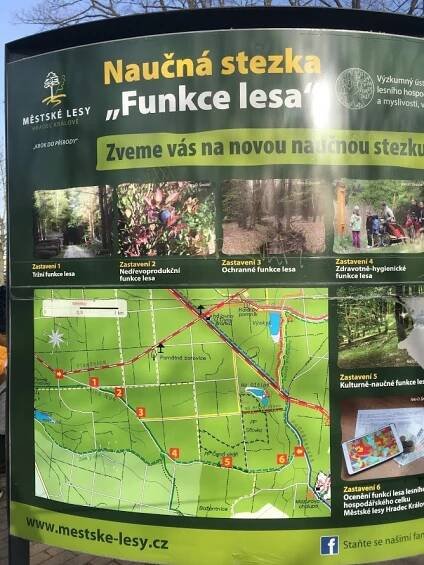 Hradec zdobí výlohy plné umění. Zpříjemněte si procházku po krajském městě
