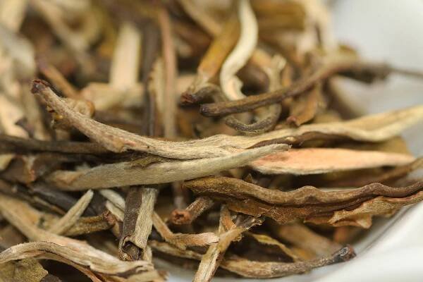 White pine needles – bílý čaj | Jíme Jinak