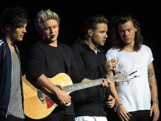 Soubor:One Direction 2015.jpg