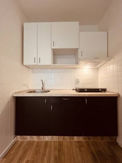 Pronájem 1+kk, Petruškova, Ostrava – bydlení s Ideálním nájemcem
