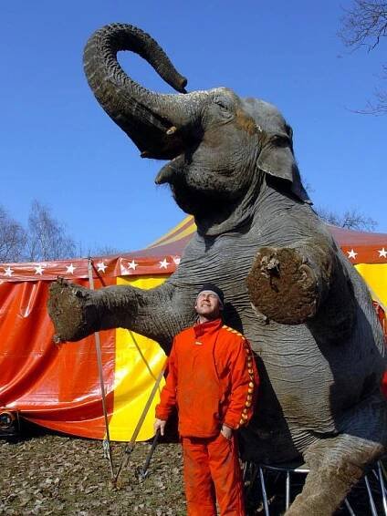 V Kutné Hoře rozbil šapitó Cirkus Berousek