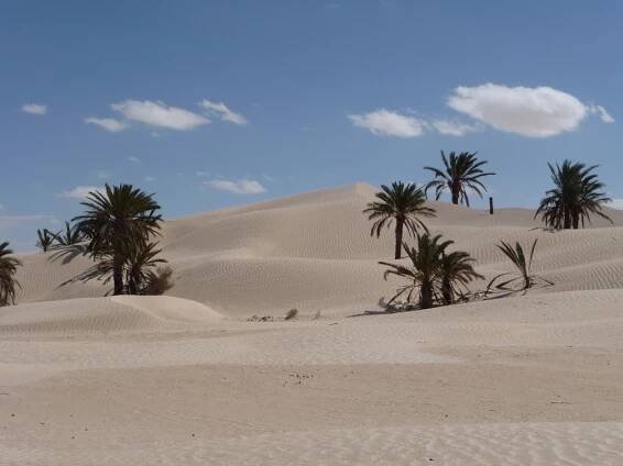 DAR EL KEBIR, Hôtel particulier, maison de Prestige, Djerba Tunisie à vendre. - Descriptif Dar El Kébir
