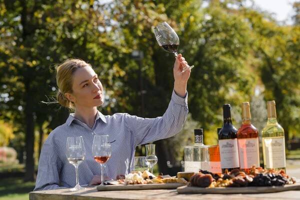 Kartli Royal Wine Tour & Tasting at Château Mukhrani