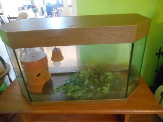 Prodám terarium, aquarium