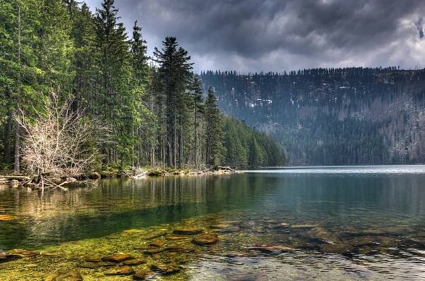 Hlasujte pro fotografii: Černé jezero