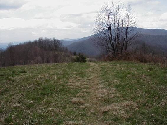 Sams Gap to Nolichucky River (Erwin, TN) – trippclark.com