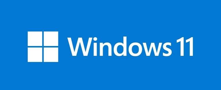 Windows 11 Installation on the Framework Laptop DIY Edition