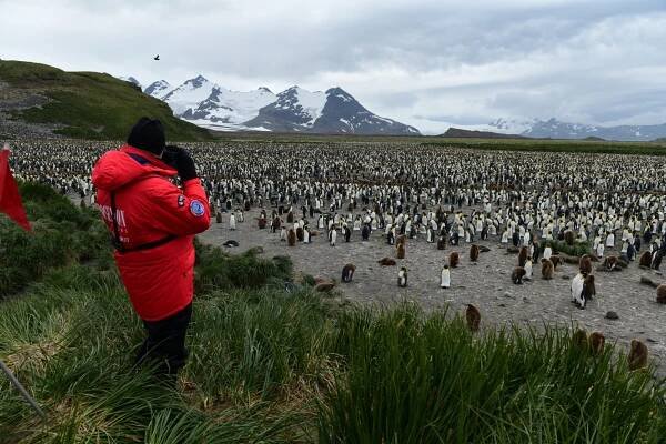 penguirn-article-ru-2022-9.jpg