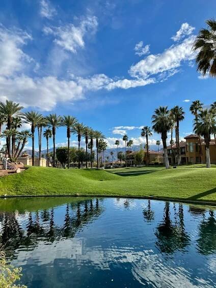 Jet To Palm Springs
