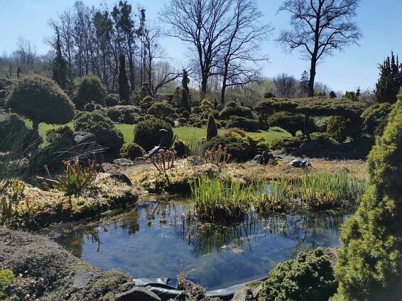 Miniarboretum U Holubů ve Staříči.