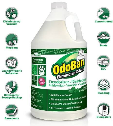 OdoBan (Eucalyptus) - Image 2